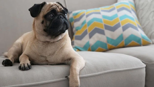 Idealize Ambientes Projetados