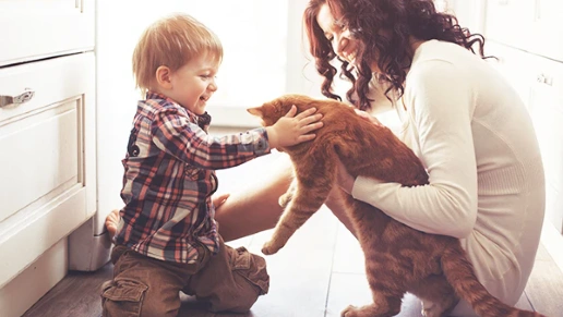 Idealize Ambientes Projetados